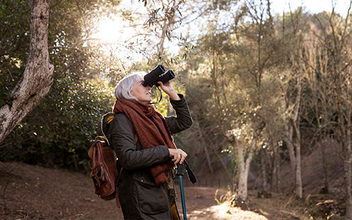 VOCIC and Birdability Partner to Support Inclusive Outdoor Exploration