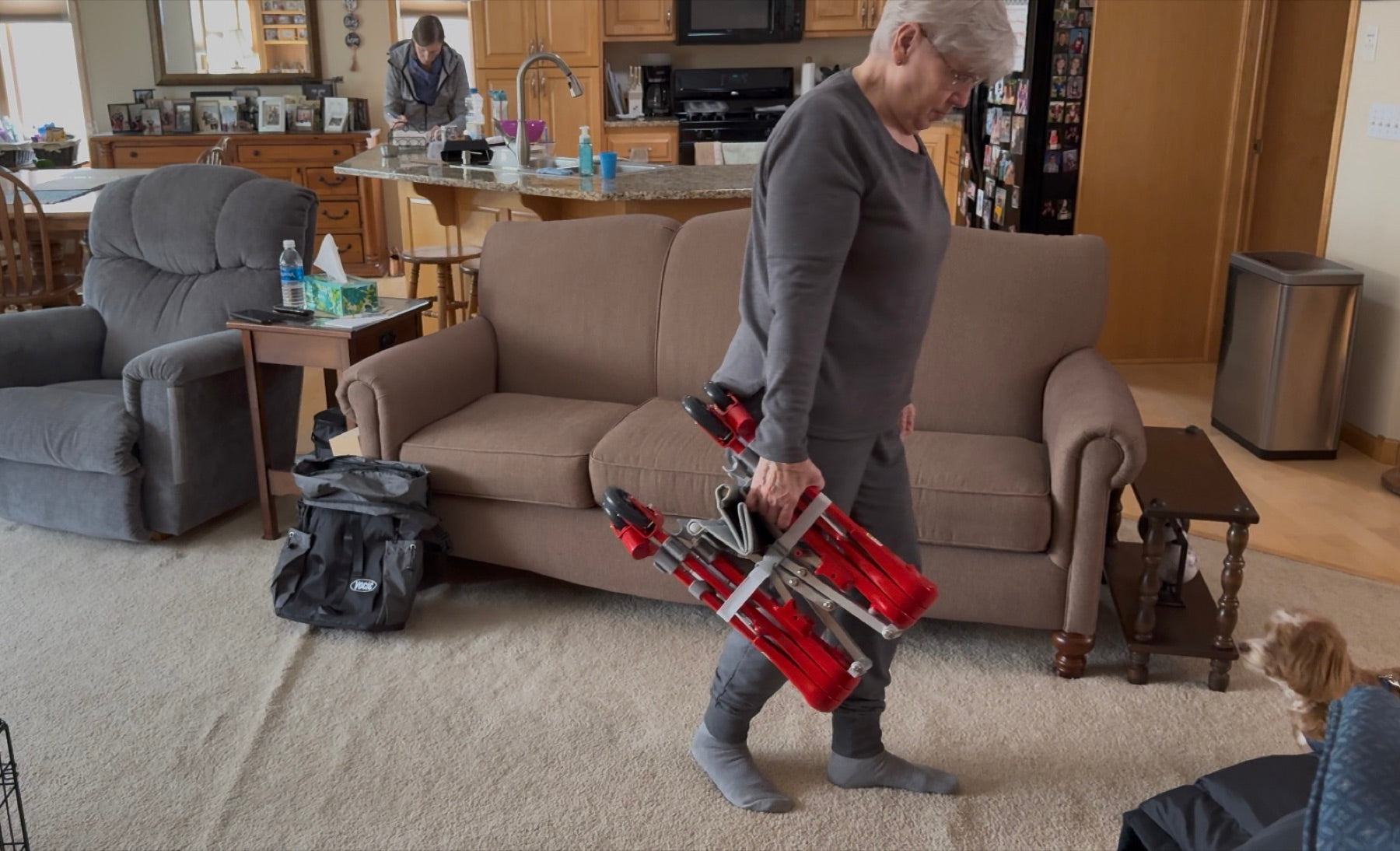 An OT’s Guide to Different Types of Walkers and Rollators — and Which Users They Are Best Suited For