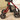 Maneuverable Wheels of Rollator Walkers