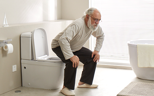 toilet seat for senior