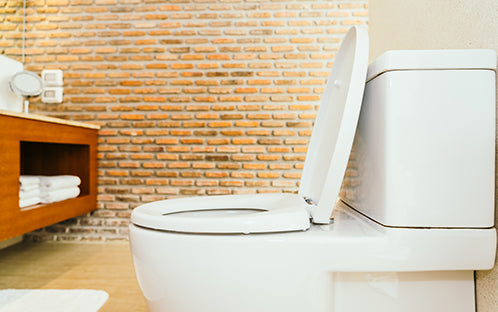Electric toilet lift seat vs. manual toilet lift seat: Which one has your back - literally?