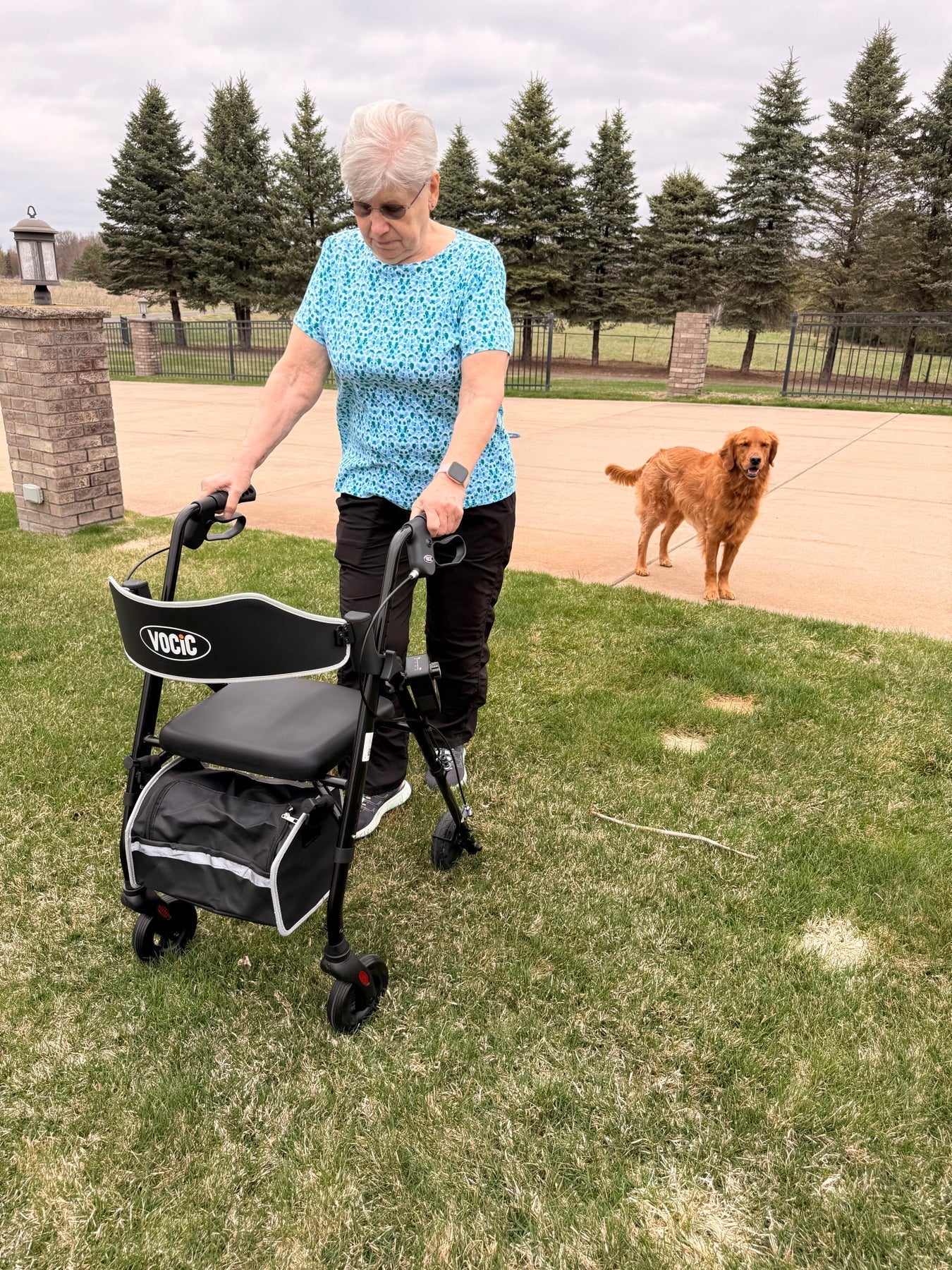 Assistive Devices for Alzheimer’s Disease: An Occupational Therapist’s Guide to Safety and Independence