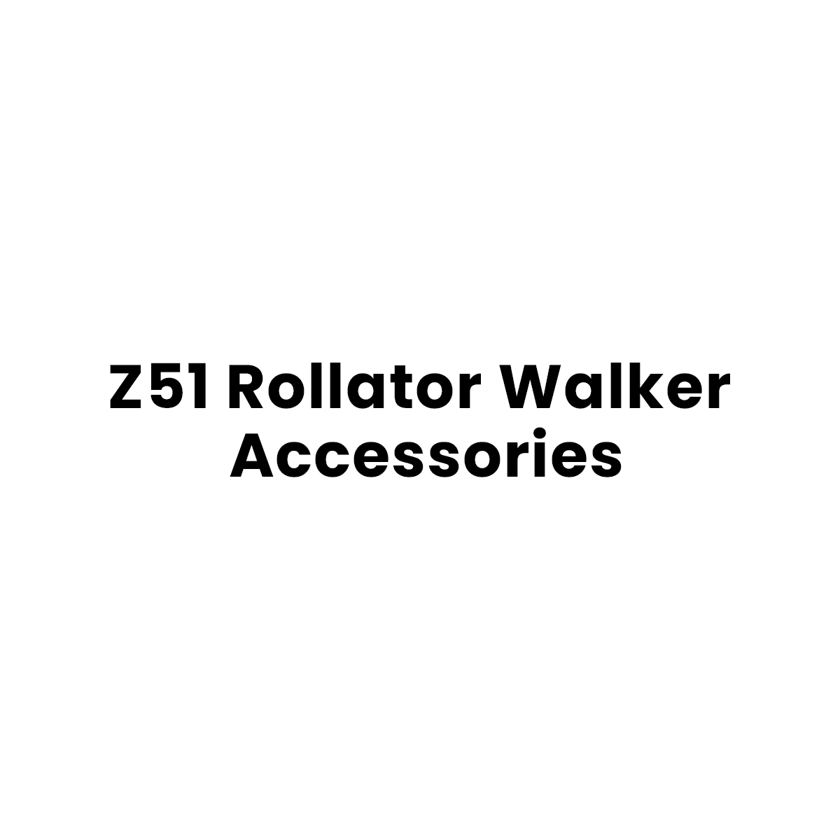 Z51 Accessory (Shipping Included)